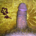 pepo85