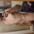 joeperkinsjr3983
