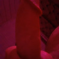PLKOWNER1