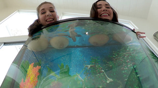 Busty girls Alex Chance and Karlee Grey wets their boobs in the aquarium
