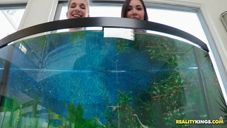 Busty girls Alex Chance and Karlee Grey wets their boobs in the aquarium