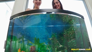 Busty girls Alex Chance and Karlee Grey wets their boobs in the aquarium