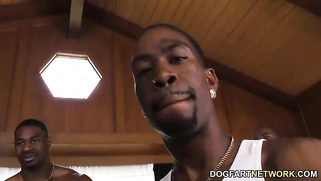 Natasha Nice Interracial Gangbang Sex