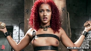 Anal training and cattle prod