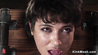 Brooklyn Gray Medieval Pleasure Ride