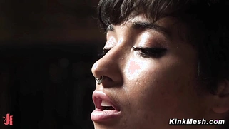 Brooklyn Gray Medieval Pleasure Ride