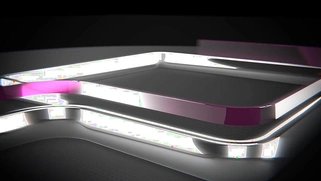 LICENSED TO BLOW - Trina Rush Trying Out To Stripper