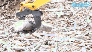 Hot Big-Titted Teenager Has an Intense Orgasm Fucking a Sex Machine