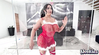 Nia Bleu Candy Cane Christmas Lingerie Display Case